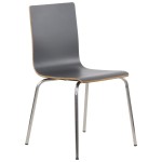 Stationary conference chair, laminated, stainless steel frame, grey bucket, WERDI B